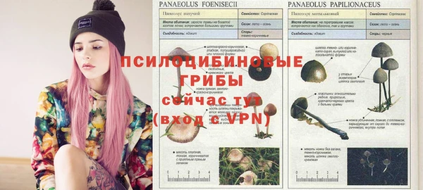 винт Аркадак