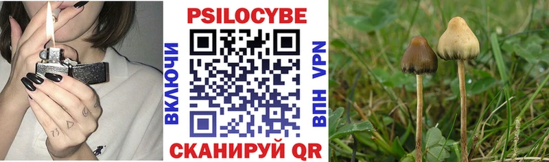Галлюциногенные грибы Psilocybine cubensis  darknet состав  Полысаево  где найти наркотики 